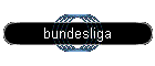 bundesliga